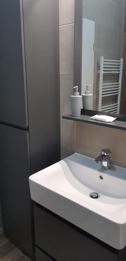 Apartment Apartament Modern Ioan Popasu *