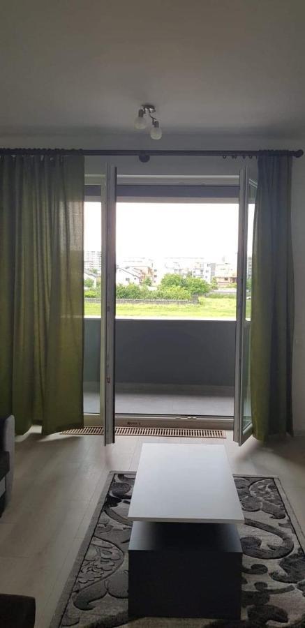 Apartament Modern Ioan Popasu Apartment